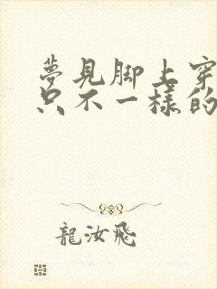 梦见脚上穿了两只不一样的鞋封面