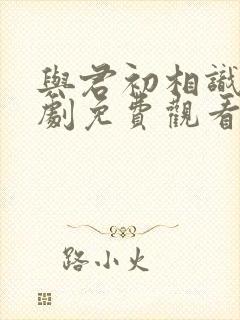 与君初相识电视剧免费观看高清版封面