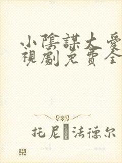 小阴谋大爱情电视剧免费全集在线看封面