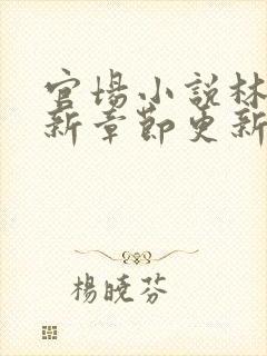 官场小说林一最新章节更新封面