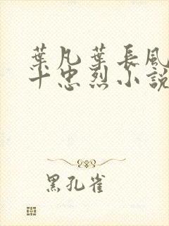 叶凡叶长风一门十忠烈小说