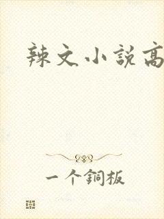辣文小说高h