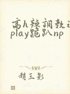 高h辣调教道具play跪趴np