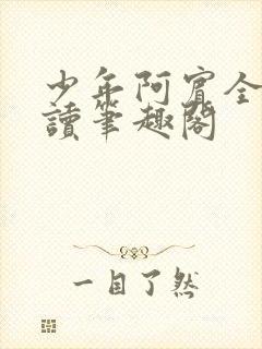 少年阿宾全文阅读笔趣阁封面