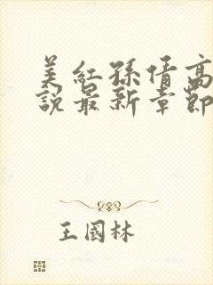 美红孙倩高义小说最新章节更新封面