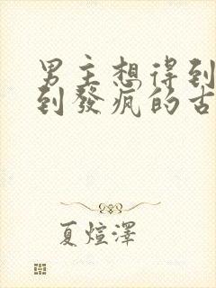 男主想得到女主到发疯的古言封面