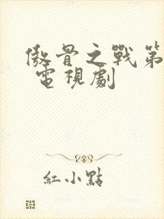 傲骨之战第五季 电视剧