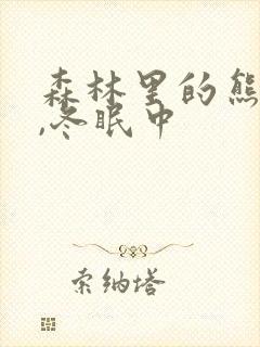 森林里的熊先生,冬眠中