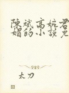 陈斌高婉君赵心媚的小说免费阅读全文封面