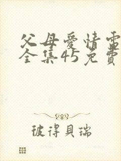 父母爱情电视剧全集45免费看