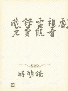 藏锋电视剧在线免费观看封面