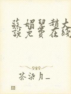 苏媚儿赵大宝小说免费在线阅读魏云