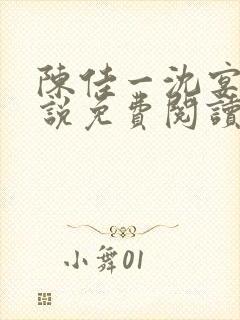 陈佳一沈宴西小说免费阅读