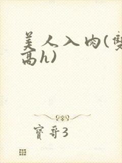 美人入肉(双性高h)