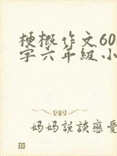 梗概作文600字六年级小英雄雨来