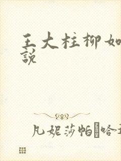 王大柱柳如烟小说