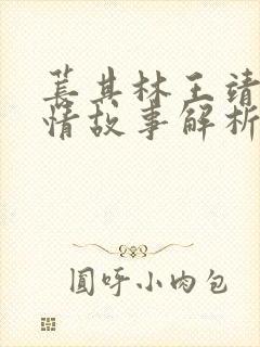 苌其林王靖涵爱情故事解析