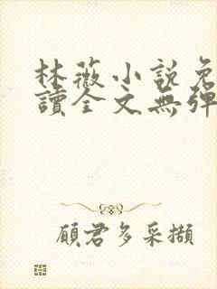 林薇小说免费阅读全文无弹窗封面