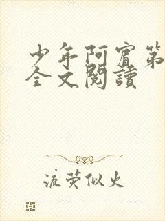 少年阿宾第一章全文阅读封面