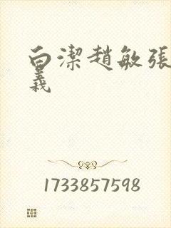 白洁赵敏张倩高义