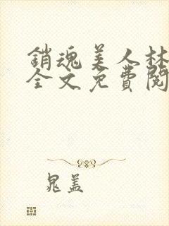 销魂美人林婷婉全文免费阅读小说