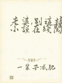 老婆,别这样 小说在线阅读