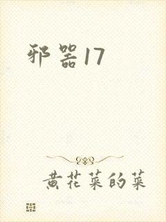 邪器17
