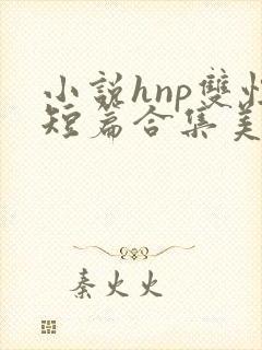 小说hnp双性短篇合集美人