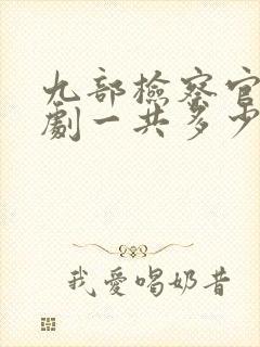 九部检察官电视剧一共多少集