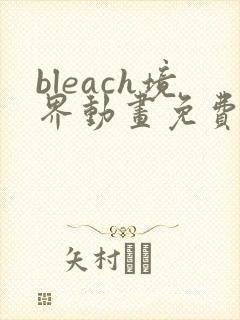 bleach境界动画免费观看全集