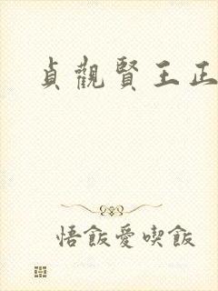 贞观贤王正版封面