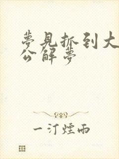 梦见抓到大鱼周公解梦封面