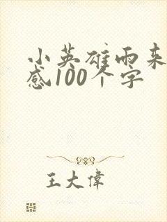 小英雄雨来读后感100个字