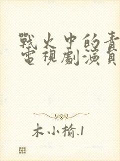 战火中的青春 电视剧演员表