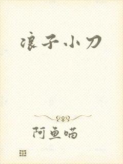 浪子小刀封面