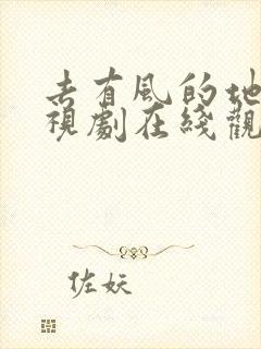 去有风的地方电视剧在线观看免费封面