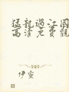 猛龙过江国语版高清免费观看