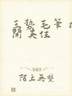 玉势 毛笔 撑开 夹住