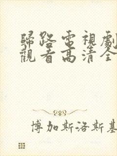 归路电视剧免费观看高清全集完整版封面