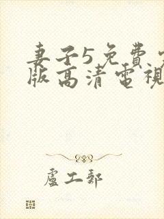 妻子5免费完整版高清电视剧