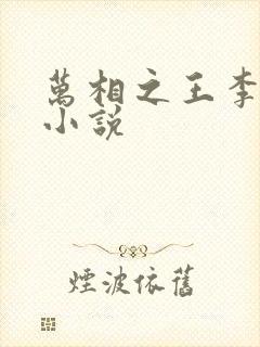 万相之王李洛的小说