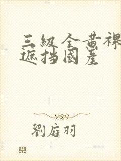 三级全黄裸体无遮挡国产