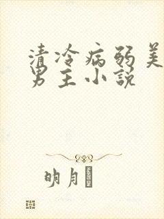 清冷病弱美人双男主小说