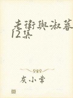 老卫与淑蓉1一12集