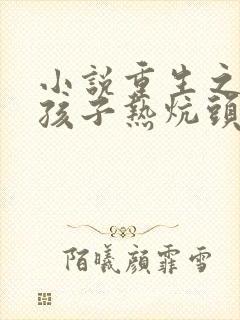 小说重生之老婆孩子热炕头