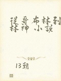 从哥布林到哥布林神 小说