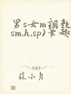男s女m调教(sm,h,sp)笔趣阁
