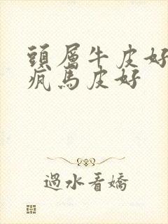 头层牛皮好还是疯马皮好