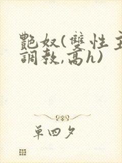 艳奴(双性主奴调教,高h)