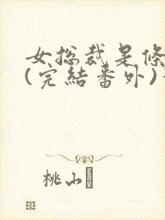 女总裁是条骚狗(完结番外)笔趣阁小说封面